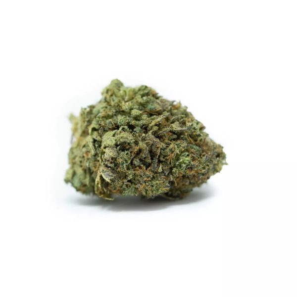 Gelato Gras