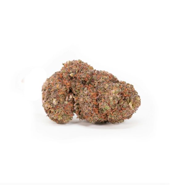 Purple Punch Gras