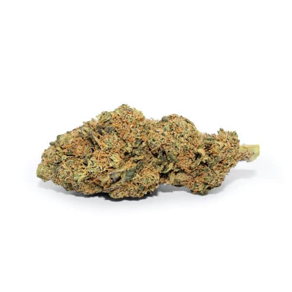 Gorilla Glue CBD Gras 2025